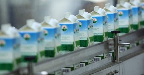 Cổ phiếu giảm hơn 30% trong 1 tháng, GTNFoods muốn mua 9 triệu cổ phiếu quỹ