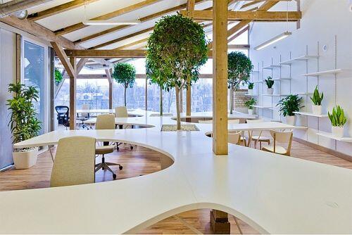 Những ý tưởng thiết kế nội thất văn phòng đẹp, hiện đại