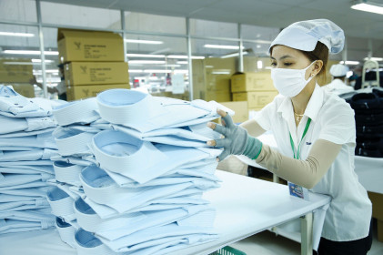 Làm gì để không chậm chân khi EVFTA có hiệu lực?