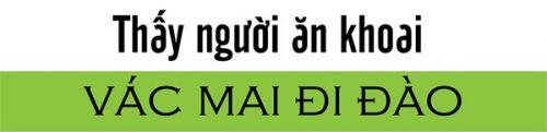 Doanh nghiệp trong mùa dịch: Hãy là những chú tắc kè hoa