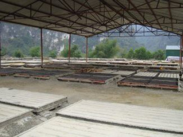 TGG bị đưa vào diện cảnh cáo
