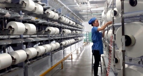 Sợi Thế Kỷ thận trọng đặt kế hoạch năm 2020