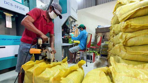Xuất khẩu gạo: rà lại rồi tính tiếp