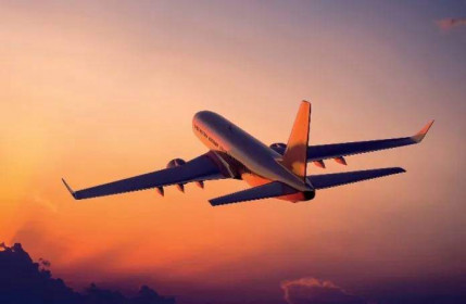 CAPA: 'Đến tháng 5/2020 nhiều doanh nghiệp hàng không phá sản nếu không được Chính phủ hỗ trợ'
