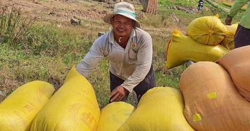 Xuất khẩu gạo: rà lại rồi tính tiếp