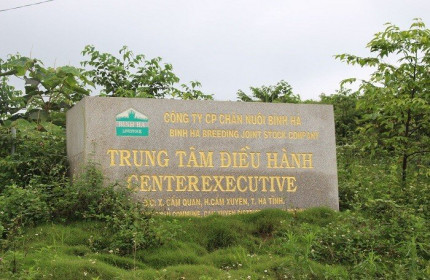 Dính 'đại án Bình Hà', MBBank 'mất' gần 500 tỷ đồng
