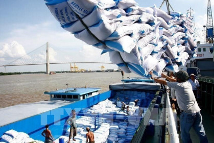 Đề nghị xem xét cho thông quan doanh nghiệp xuất khẩu gạo đã ký hợp đồng trước ngày 24/03