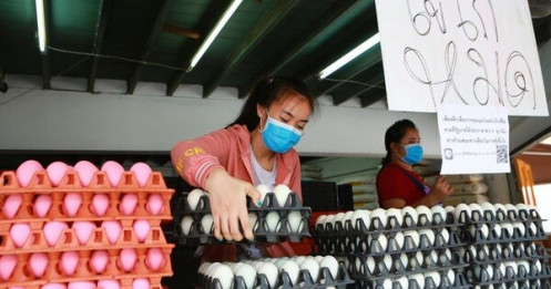 Sợ dịch COVID-19, dân Thái đi gom trữ trứng gà