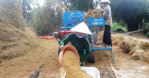 Xuất khẩu gạo nhưng có kiểm soát?