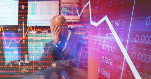 Hơn 66% nhà đầu tư Mỹ không thay đổi danh mục đầu tư chứng khoán bất chấp sự lao dốc của thị trường