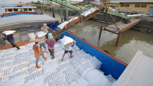 Mỗi năm Hàn Quốc nhập hơn 55.000 tấn gạo Việt có thuế suất ưu đãi