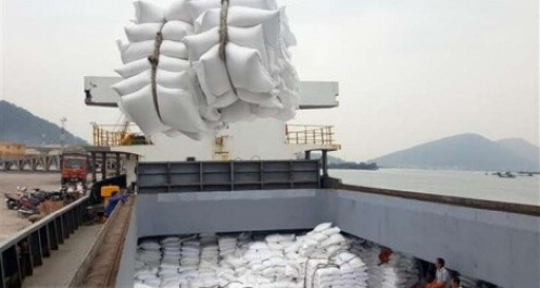 Hàn Quốc dự kiến nhập khẩu hơn 55.000 tấn gạo từ Việt Nam