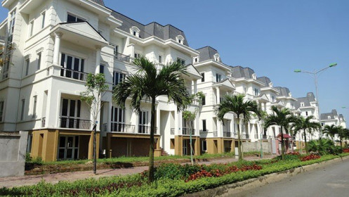 NTL trình kế hoạch hủy toàn bộ 2.6 triệu cổ phiếu quỹ