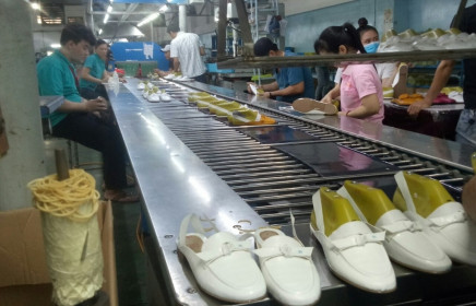 Kỳ I: Cú sốc thị trường đầu ra