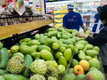 Giá vườn 15.000 - 17.000 đồng/kg, vào tới shop xoài cát Hòa Lộc đội lên gần 10 lần