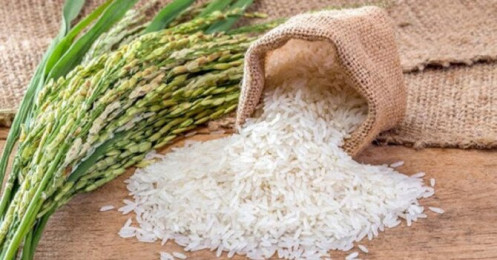 Tác động Covid-19, quý I Vinafood 2 đã lỗ gần 100 tỷ, doanh thu năm 2020 của Vinafood 1 có thể giảm 6.000 tỷ đồng