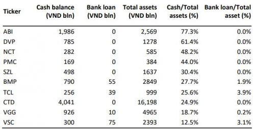 AFC Vietnam Fund: Một thị trường con gấu thường có hai giai đoạn
