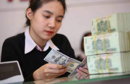 Suy thoái kinh tế đè nặng 'đôi cánh' ngành ngân hàng