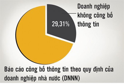 DNNN chây ì công bố thông tin: Không lẽ bó tay?