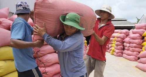 Chính phủ gia hạn thời gian nộp thuế và tiền thuê đất cho doanh nghiệp, hộ kinh doanh