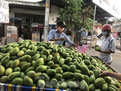 Xoài vào mùa, tràn xuống lề đường giá chỉ 5.000 đồng/kg