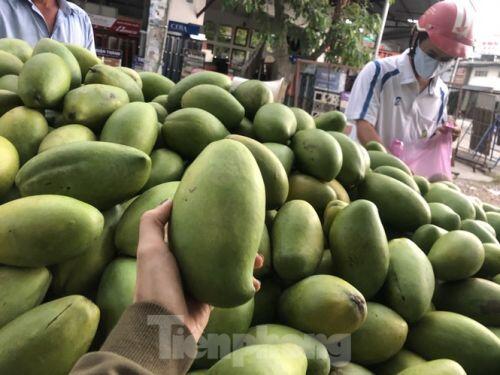 Xoài vào mùa, tràn xuống lề đường giá chỉ 5.000 đồng/kg