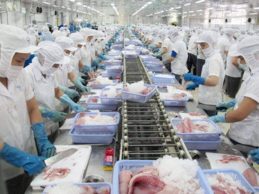 Kịch bản nào vực dậy nền kinh tế hậu dịch Covid-19?