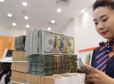Tỷ giá giảm phù hợp với thực tế thị trường