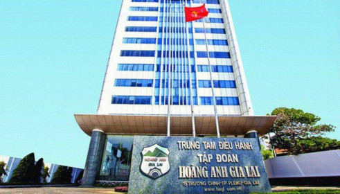 HAGL bất ngờ chuyển từ lãi sang lỗ hơn 2.000 tỷ năm 2019 sau kiểm toán