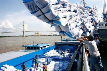 Doanh nghiệp vui mừng khi gạo được xuất khẩu trở lại