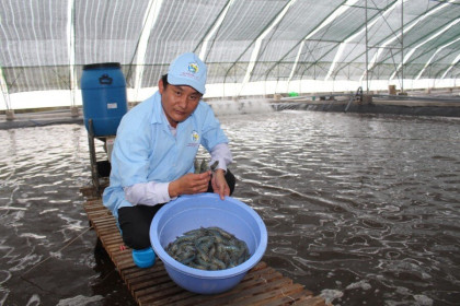 Xuất khẩu tôm sang Trung Quốc tăng mạnh nhất trong 5 năm qua