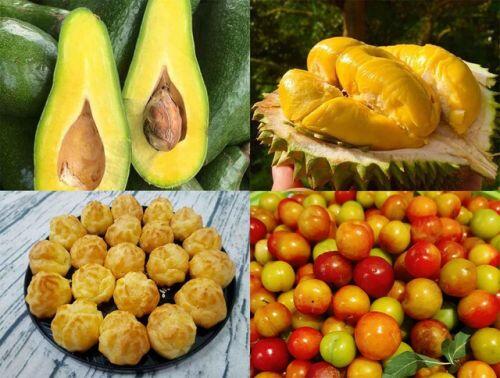 Chợ online chung cư lên ngôi trong mùa dịch Covid-19