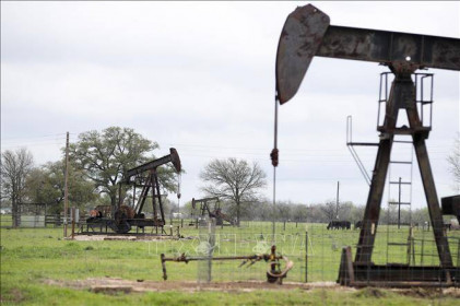 Giá dầu 'lao đốc không phanh', nguy cơ phá sản hàng loạt trong ngành dầu mỏ