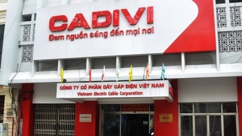 CAV sắp trả cổ tức bằng tiền mặt tỷ lệ 25%