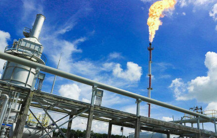 Ảnh hưởng bởi dịch bệnh và giá dầu, lãi ròng quý 1 của GAS giảm 23%