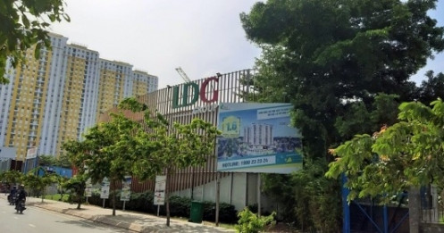 Ảnh hưởng dịch COVID-19, lãi sau thuế LDG giảm đến 99%