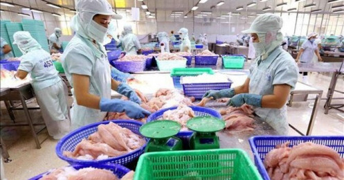 Thủy sản Cửu Long (ACL) báo lãi sau thuế quý I/2020 giảm hơn 98% so với cùng kỳ