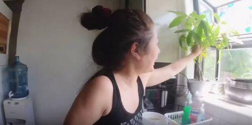 Biệt thự tiền tỷ của danh hài Thúy Nga giữa lùm xùm “ăn tiền trợ cấp“