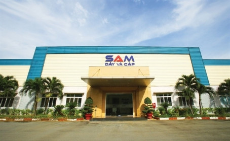 SAM: Lãi ròng quý 1 tiêu biến