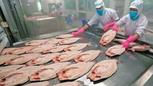 Covid-19 sẽ không làm thay đổi kỳ vọng EVFTA