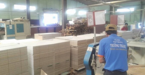 Lỗ nghìn tỷ trong 2 năm, Gỗ Trường Thành dự kiến lợi nhuận 69,5 tỷ đồng, phát hành cổ phần hoán đổi nợ năm 2020