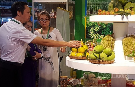 Thay đổi phương pháp sản xuất để tiếp cận thị trường châu Âu