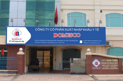 Công ty mẹ Domesco sụt giảm 15% lãi ròng trong quý 1