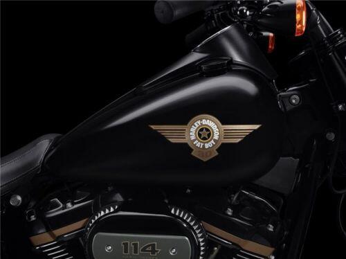 Harley-Davidson Fat Boy 2020 phiên bản kỷ niệm 30 năm, giới hạn 2.500 chiếc trên toàn thế giới