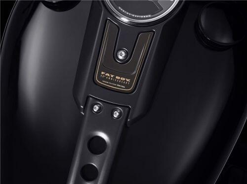 Harley-Davidson Fat Boy 2020 phiên bản kỷ niệm 30 năm, giới hạn 2.500 chiếc trên toàn thế giới