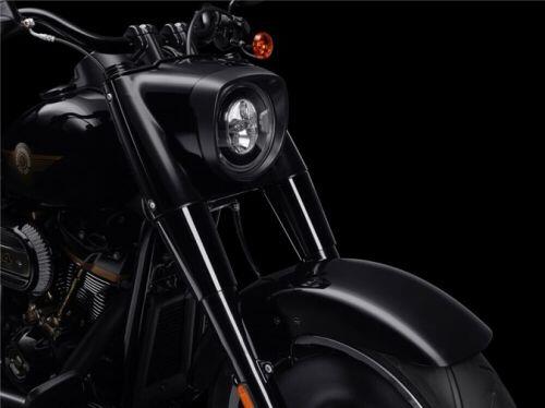 Harley-Davidson Fat Boy 2020 phiên bản kỷ niệm 30 năm, giới hạn 2.500 chiếc trên toàn thế giới