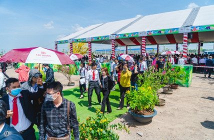 Đất nền vùng ven “hút mạnh” dòng vốn đầu tư