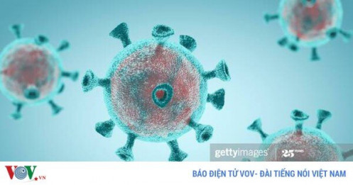 WHO loại trừ khả năng SARS-CoV-2 có nguồn gốc bên ngoài Trung Quốc
