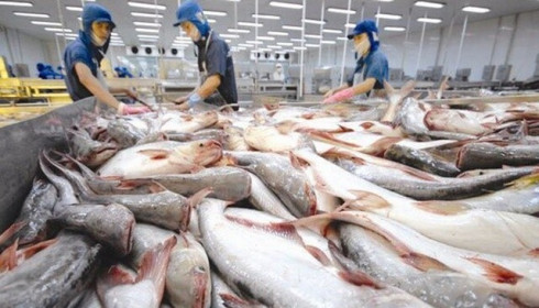HVG chính thức bị tạm ngừng giao dịch kể từ 15/05