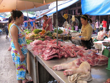 Giá thịt lợn còn cao đến hết năm 2020